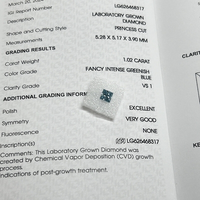 kopen 1.02CT Fancy Intense Groenblauw VS1 EX VG CVD Lab Groeid Diamond Princess Cut IGI Gecertificeerd online manufacture
